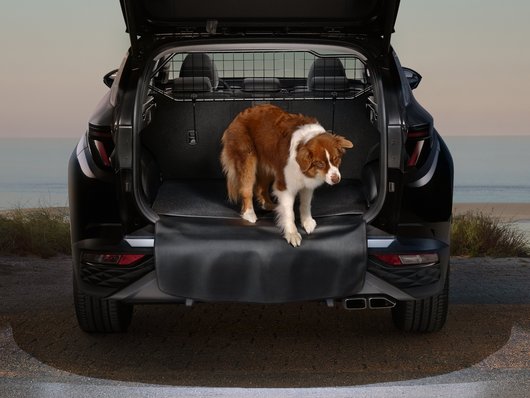 Hyundai купити в Кропивницькому. Нові Хюндай. Ціни на авто Hyundai в Кропивницькому - фото 11