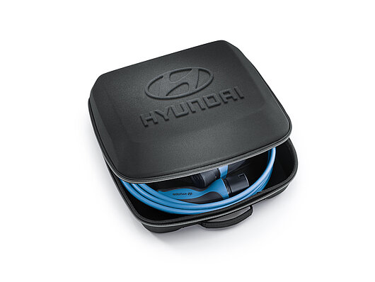 Аксесуари для автомобілів Hyundai у м. Кропивницкий | Богдан-Авто Кропивницкий - фото 22